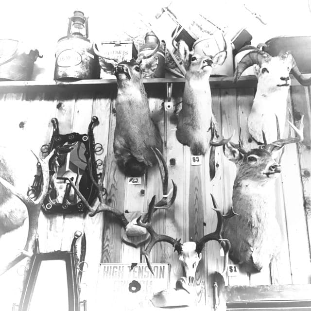 Careful I Think It's Loaded