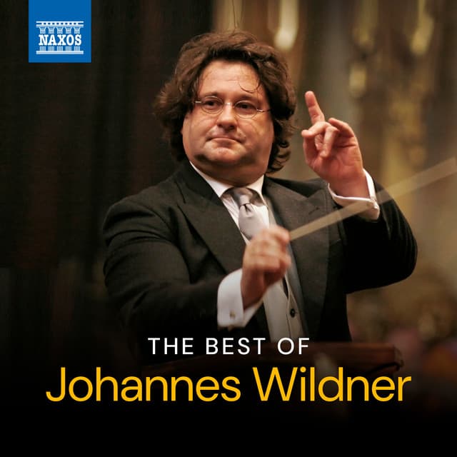 The Best of Johannes Wildner