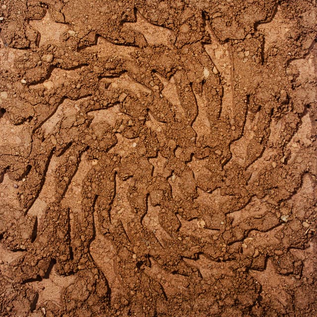 Unerthed: Hole Erth Unplugged