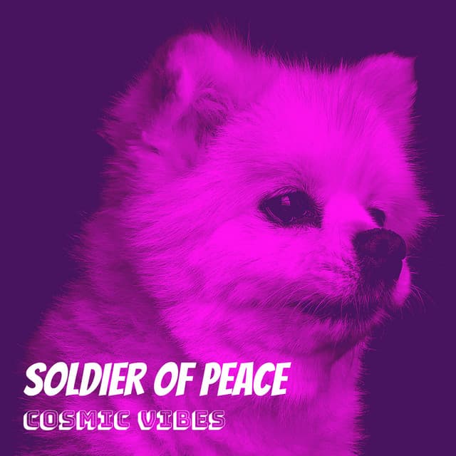 Soldier of Peace