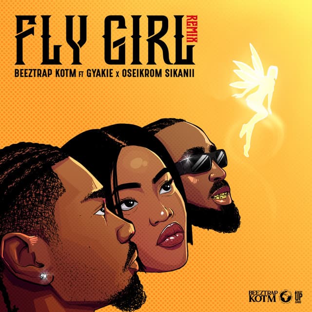 FLY GIRL (feat. Gyakie & Oseikrom Sikanii) - Remix