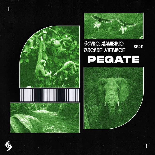 Pegate