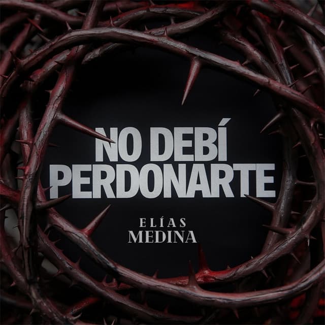 No Debi Perdonarte