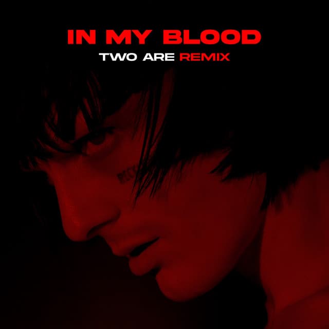 IN MY BLOOD (Two Are Remix)