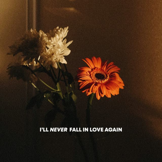 I'll Never Fall in Love Again
