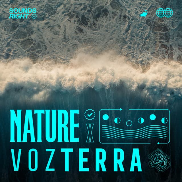 Choco Oceanic Whispers