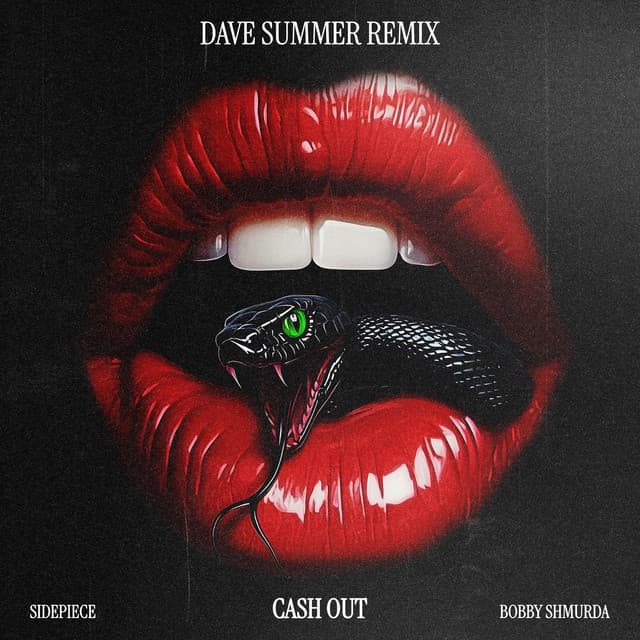 Cash Out (Dave Summer Remix)