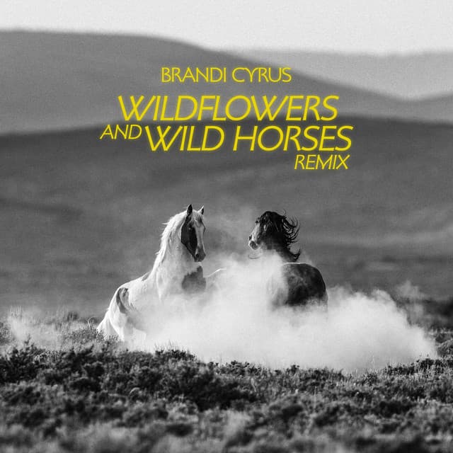 Wildflowers and Wild Horses - Remix