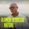 Djimon Hounsou