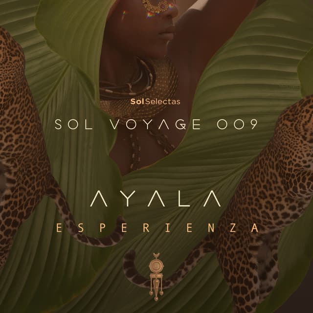 Sol Voyage 009 - Esperienza (DJ Mix)