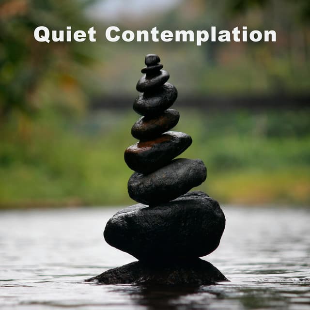 Quiet Contemplation