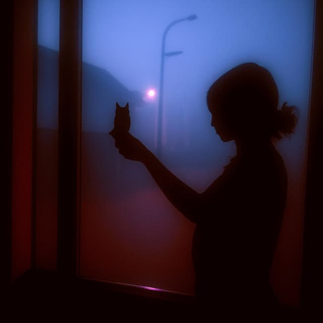 hallelujah - instrumental slowed & reverb