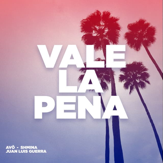 Vale La Pena - Afro Mix