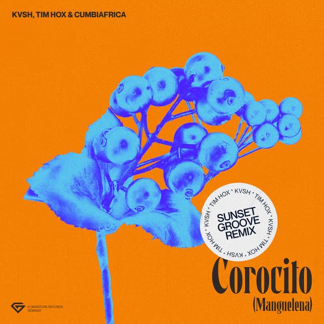 Corocito (Manguelena) [Sunset Groove Remix]