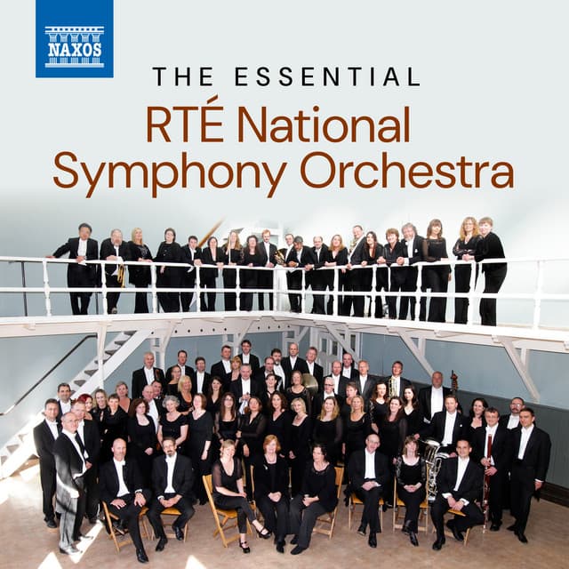 The Essential RTÉ National Symphony Orchestra