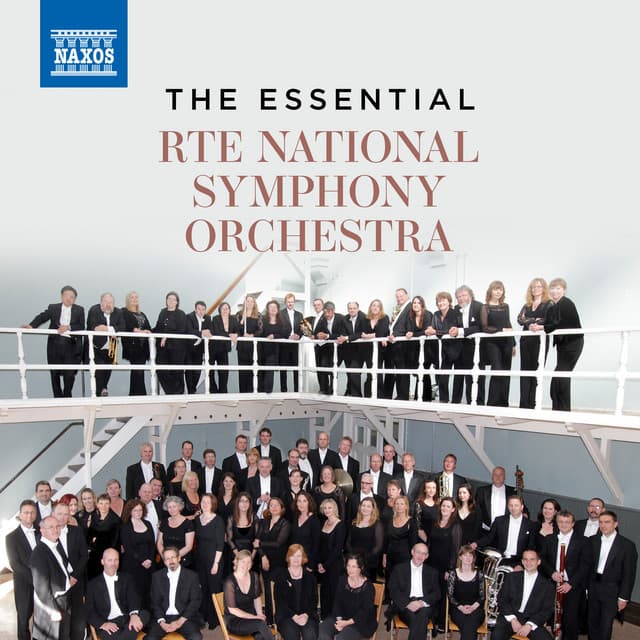 The Essential RTÉ National Symphony Orchestra