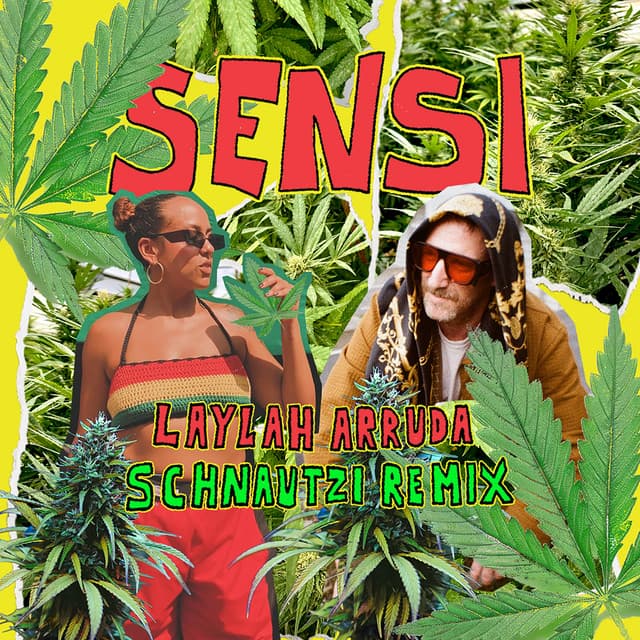 SENSI (Schnautzi remix)