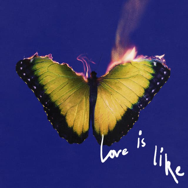 Love Is Like (Deluxe)