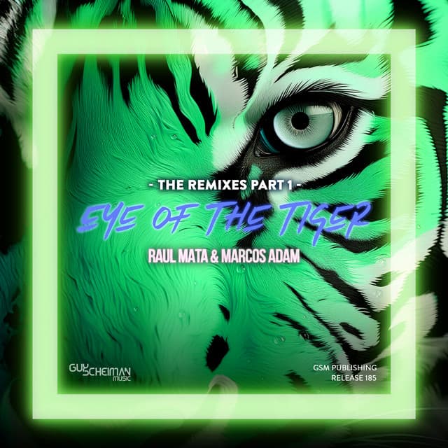 Eye Of The Tiger - DJ Head Radio Edit
