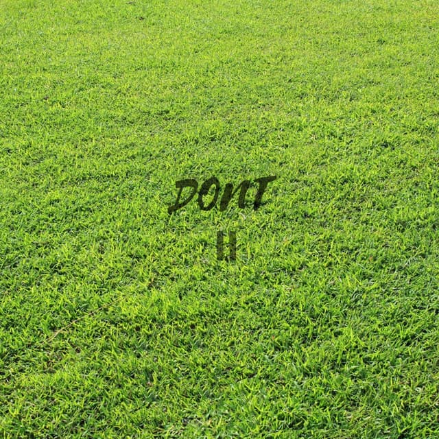 Don't II