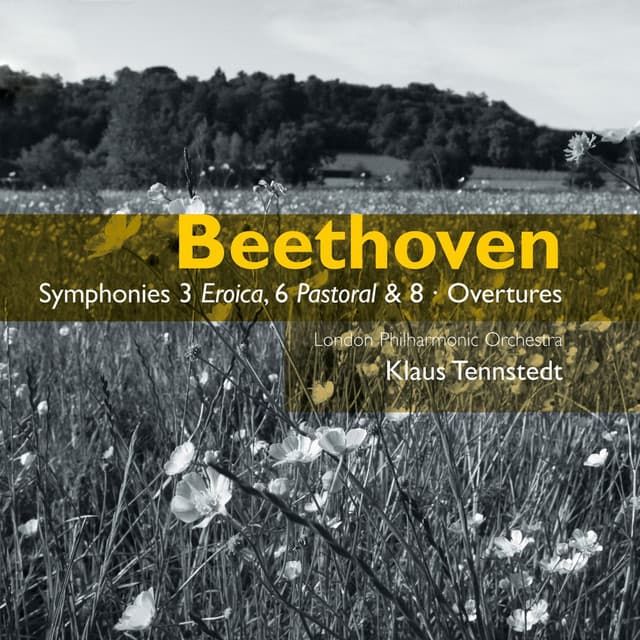 Beethoven: Symphony No. 6 in F Major, Op. 68 "Pastoral": IV. Gewitter. Sturm. Allegro -