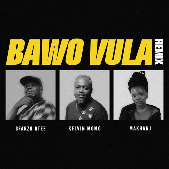 Bawo Vula - Remix