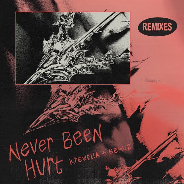 Never Been Hurt - 808GONG Remix