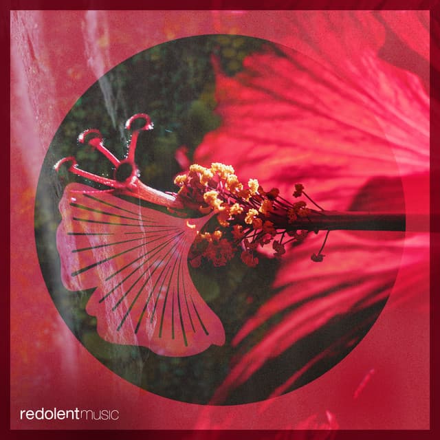 Prado's Revenge (Aaron Sevilla Remix)