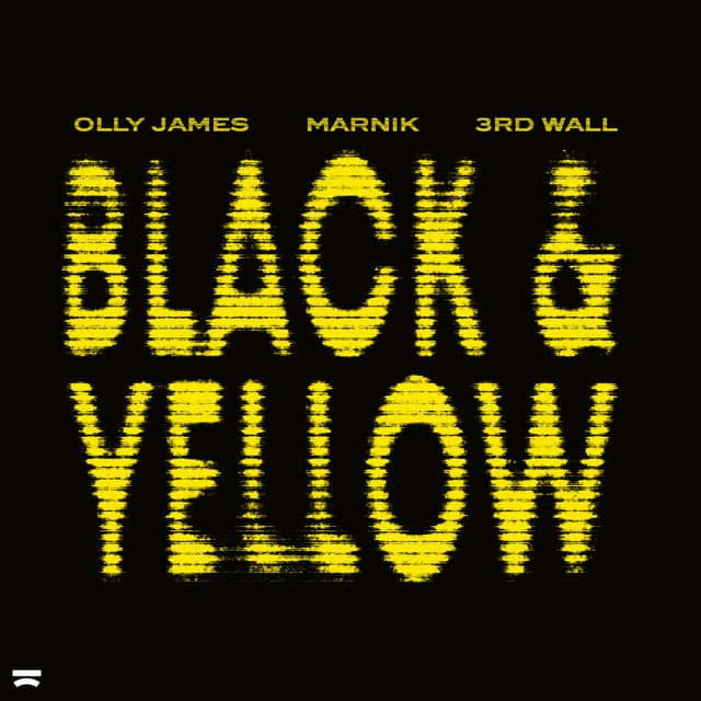 Black & Yellow (You Know What It Is)