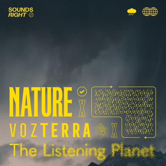 Rain Sounds Symphony