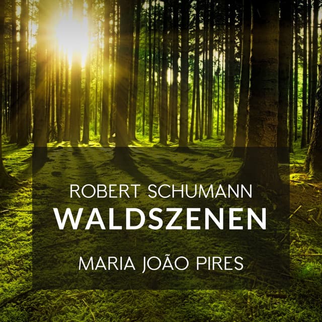 Schumann: Waldszenen