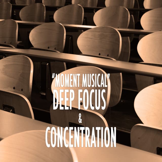 "Moment Musical" - Deep Focus & Concentration