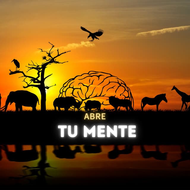 Abre tu mente