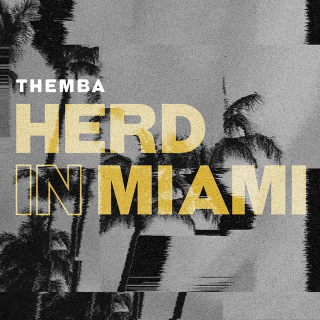 Herd In Miami (DJ Mix)