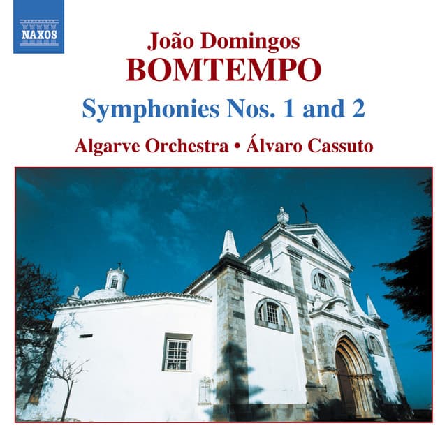 Symphony No. 2 in D Major: I. Sostenuto - Allegro moderato